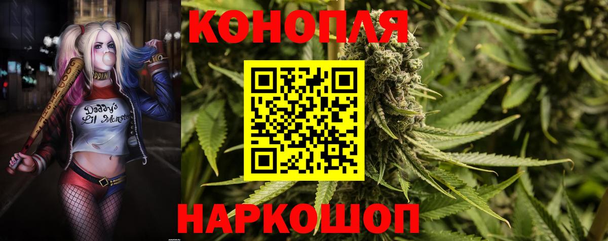 Бошки марихуана сатива Богородицк